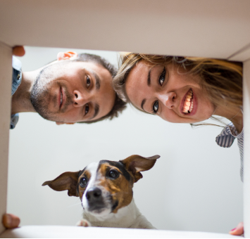 Oeps! Waar zijn de producten gebleven?